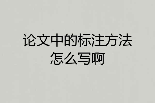 论文中的标注方法怎么写啊