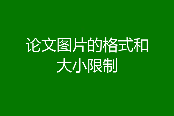 论文图片的格式和大小限制