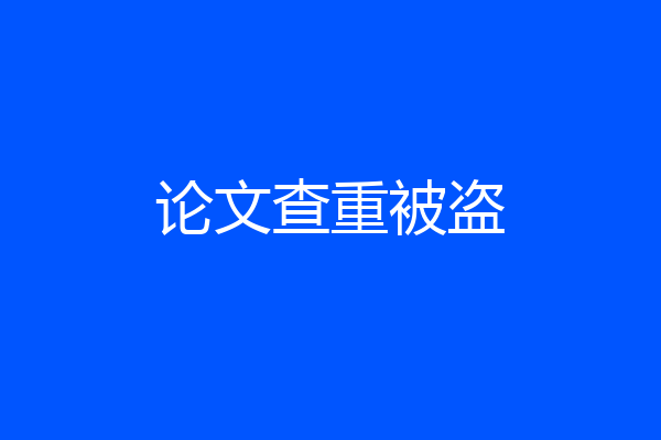 论文查重被盗