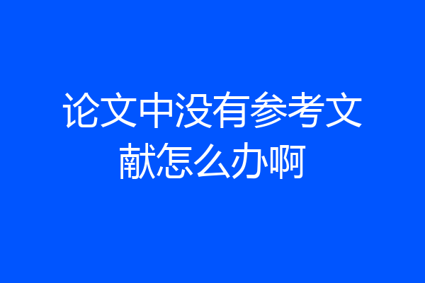 论文中没有参考文献怎么办啊