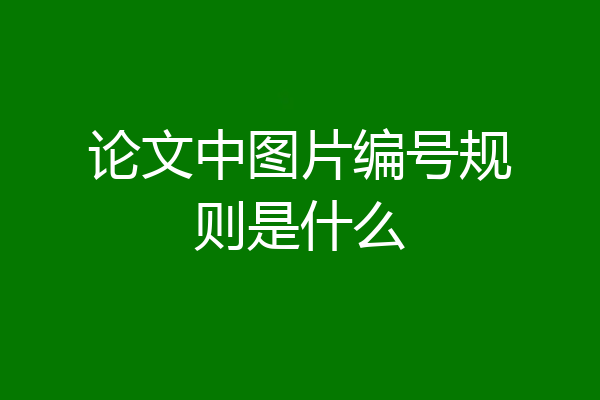 论文中图片编号规则是什么