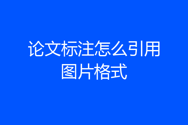 论文标注怎么引用图片格式
