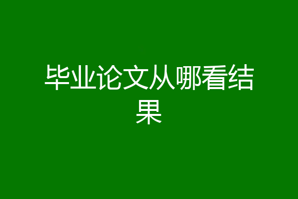 毕业论文从哪看结果
