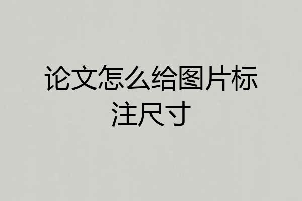 论文怎么给图片标注尺寸
