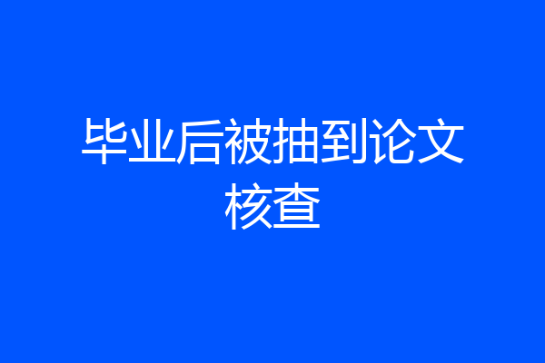 毕业后被抽到论文核查