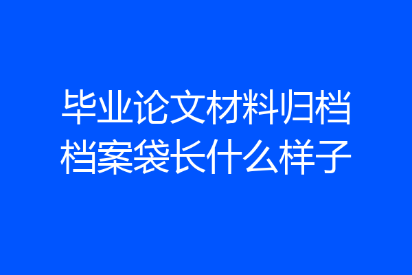 毕业论文材料归档档案袋长什么样子