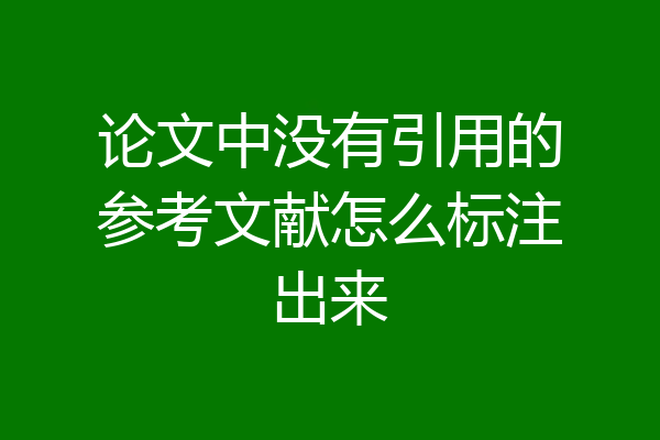 论文中没有引用的参考文献怎么标注出来