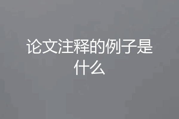 论文注释的例子是什么