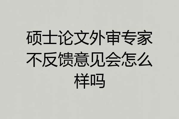 硕士论文外审专家不反馈意见会怎么样吗