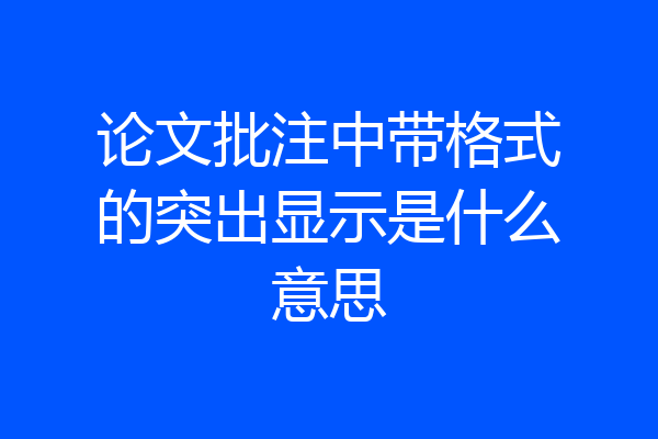 论文批注中带格式的突出显示是什么意思
