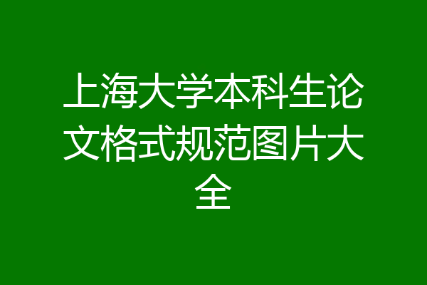 上海大学本科生论文格式规范图片大全