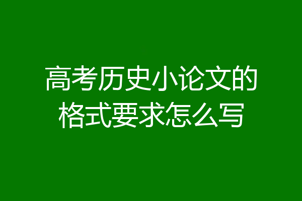 高考历史小论文的格式要求怎么写