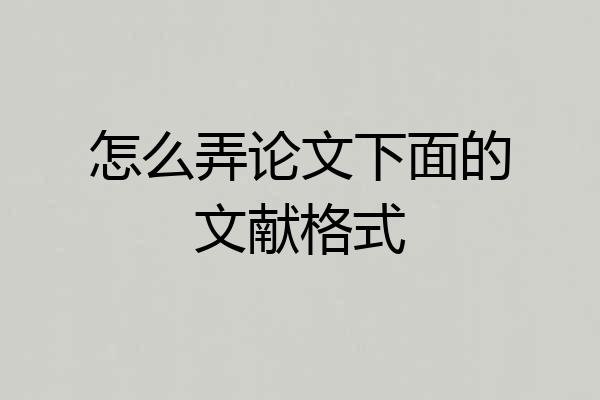 怎么弄论文下面的文献格式
