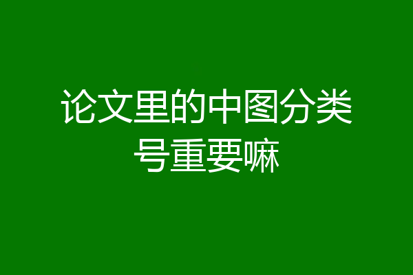 论文里的中图分类号重要嘛