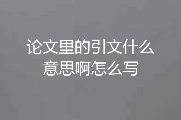 论文里的引文什么意思啊怎么写