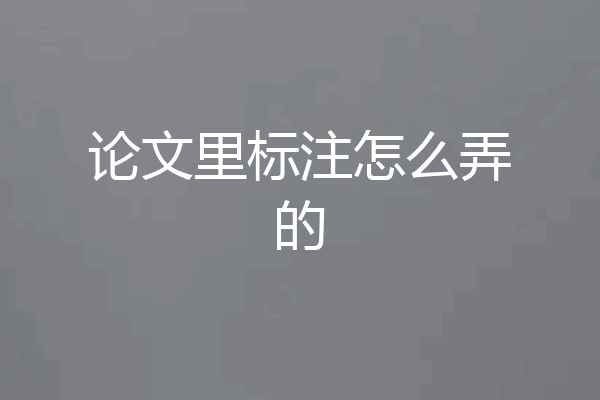 论文里标注怎么弄的