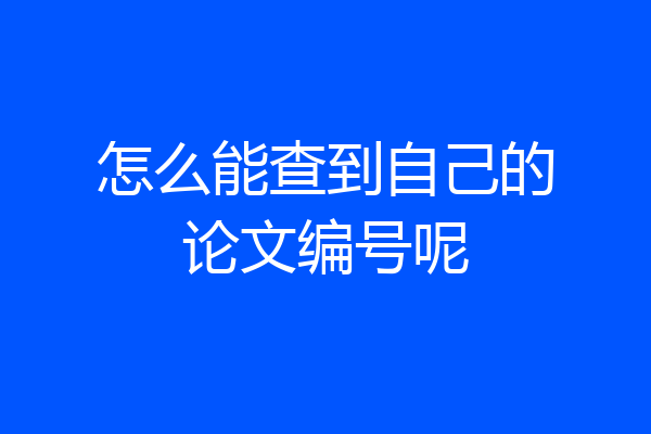 怎么能查到自己的论文编号呢
