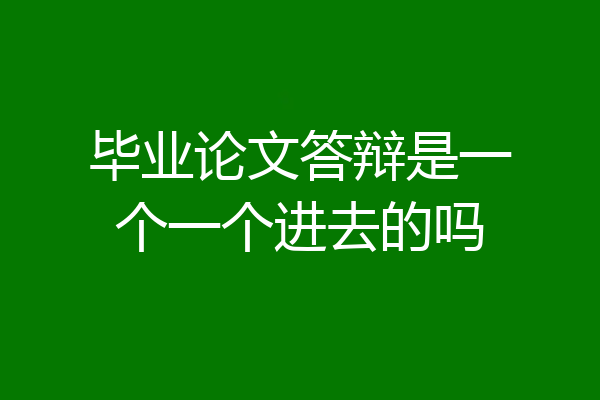 毕业论文答辩是一个一个进去的吗