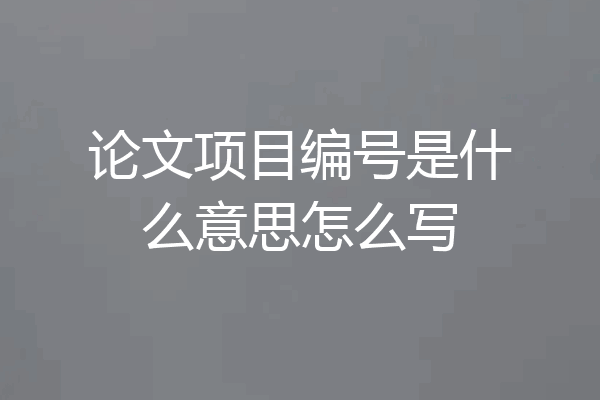 论文项目编号是什么意思怎么写