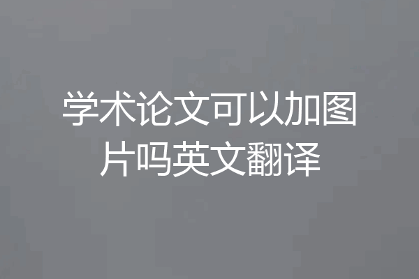 学术论文可以加图片吗英文翻译