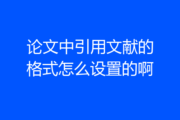 论文中引用文献的格式怎么设置的啊