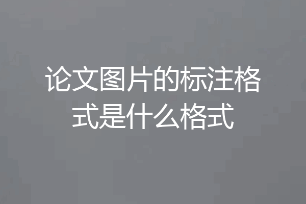 论文图片的标注格式是什么格式