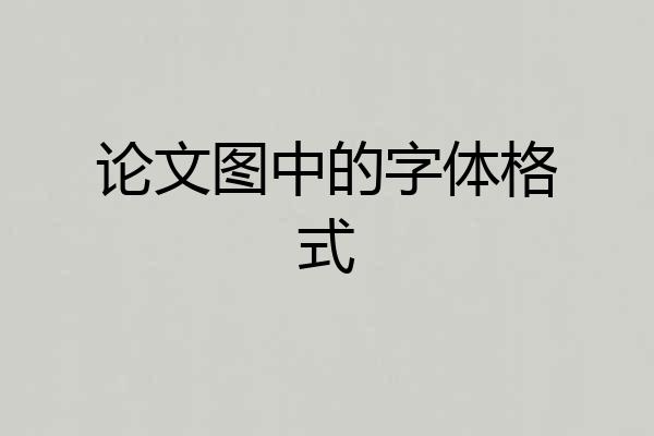 论文图中的字体格式