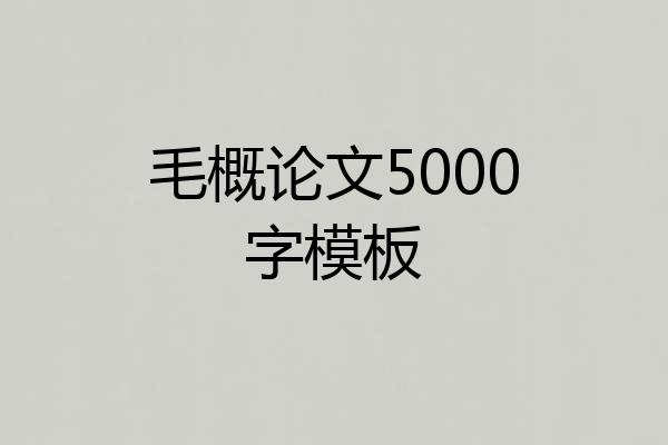 毛概论文5000字模板