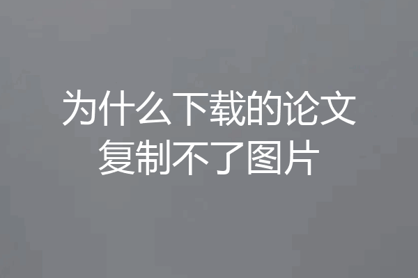 为什么下载的论文复制不了图片