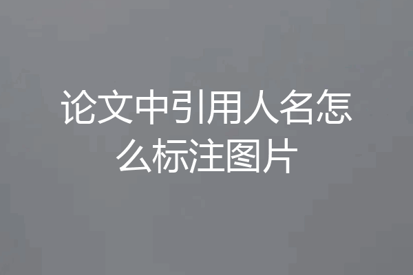 论文中引用人名怎么标注图片
