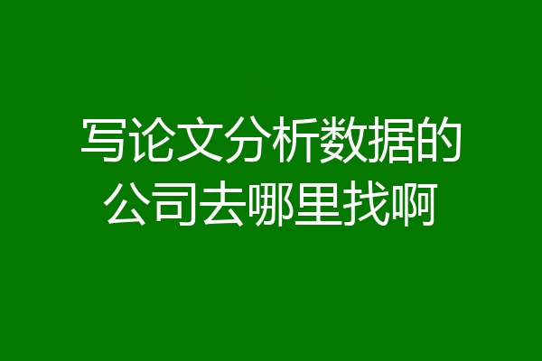 写论文分析数据的公司去哪里找啊