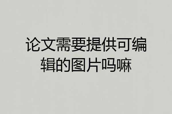 论文需要提供可编辑的图片吗嘛