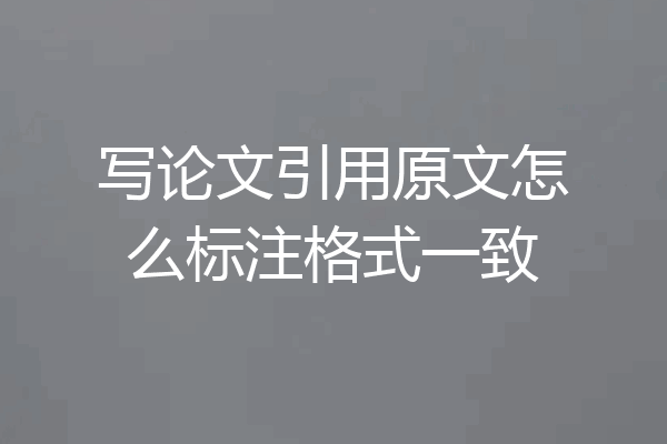 写论文引用原文怎么标注格式一致