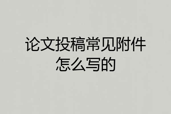 论文投稿常见附件怎么写的