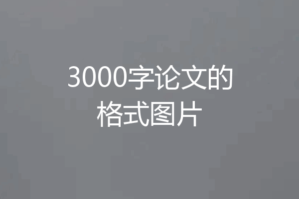 3000字论文的格式图片