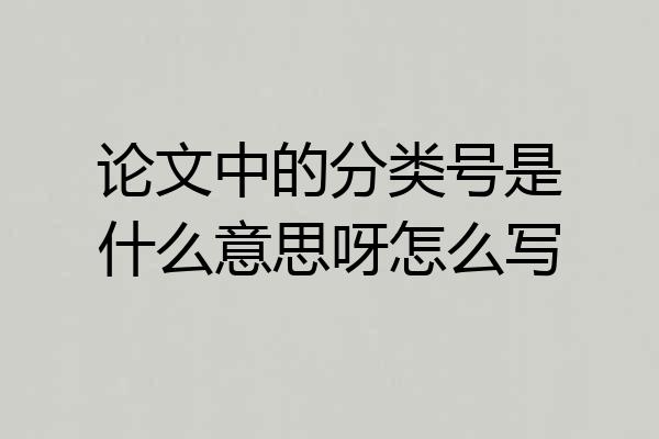 论文中的分类号是什么意思呀怎么写