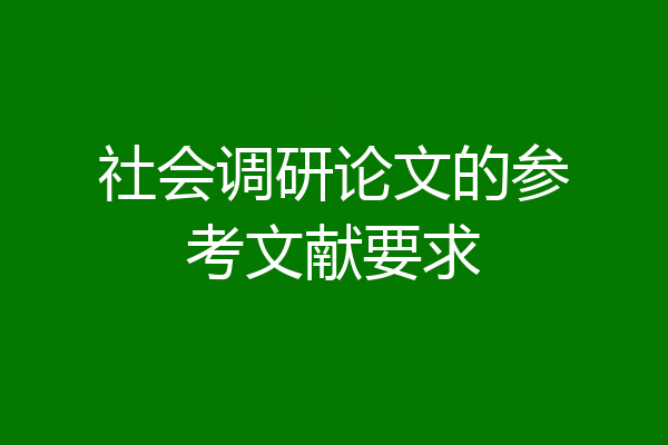社会调研论文的参考文献要求