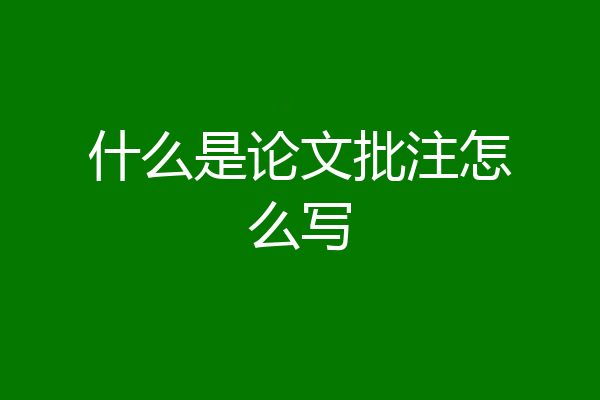 什么是论文批注怎么写
