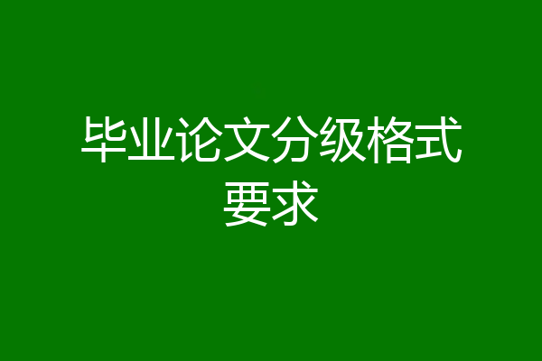 毕业论文分级格式要求