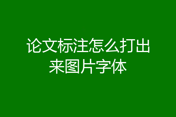论文标注怎么打出来图片字体