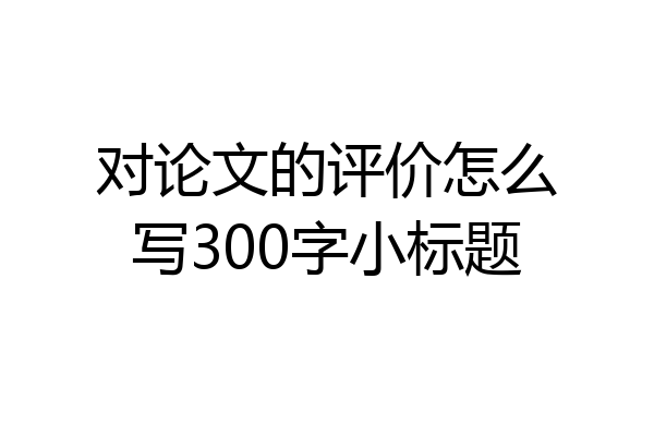 对论文的评价怎么写300字小标题