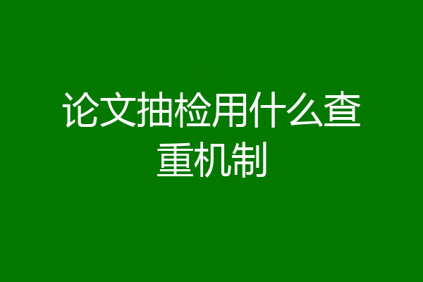 论文抽检用什么查重机制