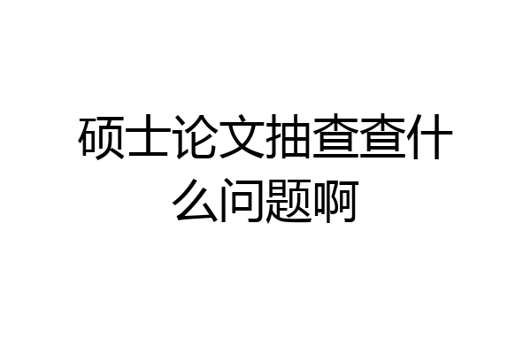 硕士论文抽查查什么问题啊
