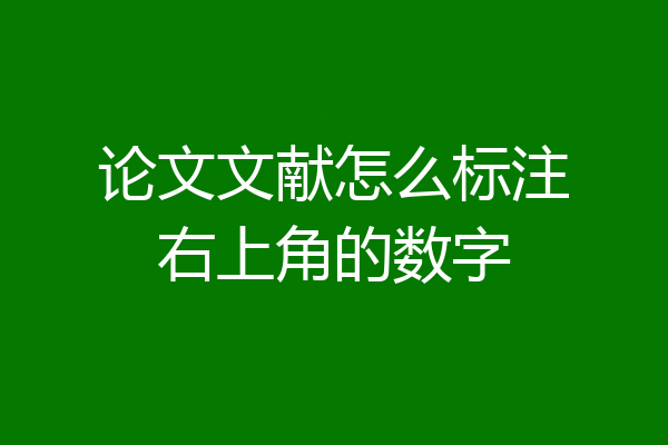 论文文献怎么标注右上角的数字