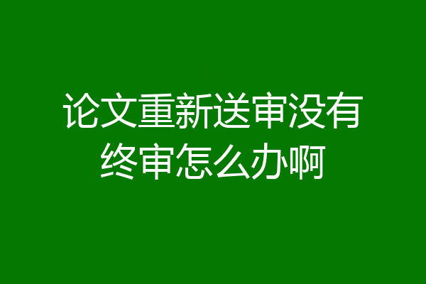 论文重新送审没有终审怎么办啊