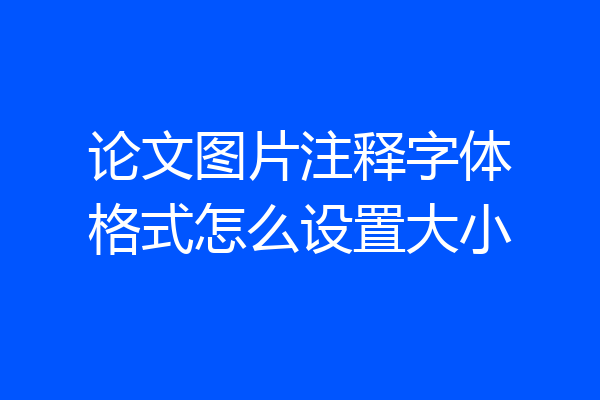 论文图片注释字体格式怎么设置大小