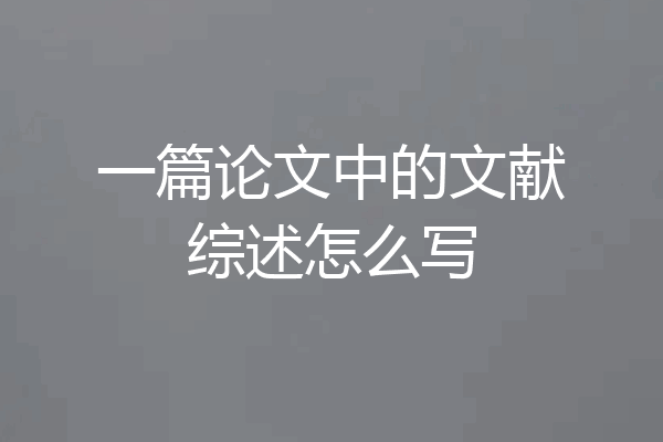 一篇论文中的文献综述怎么写