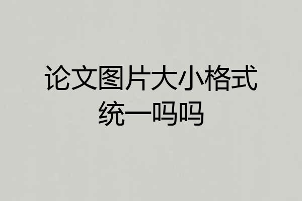 论文图片大小格式统一吗吗