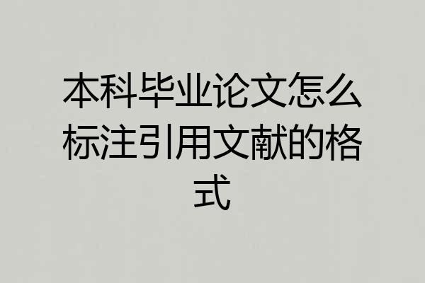 本科毕业论文怎么标注引用文献的格式