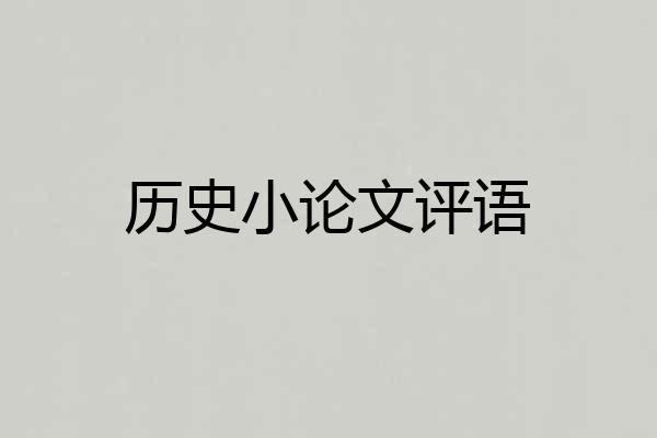 历史小论文评语
